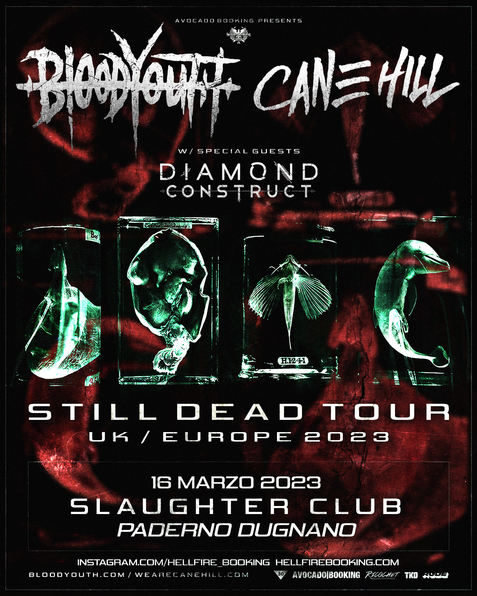 blood youth & cane hill